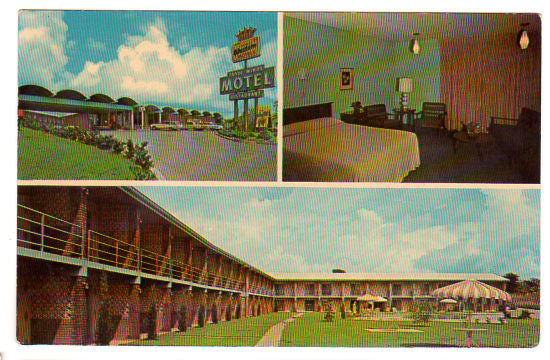 Vintage 1960s Sherman Texas Trade Winds Motel and Restaurant Souvenir Postcard - Avid Vintage