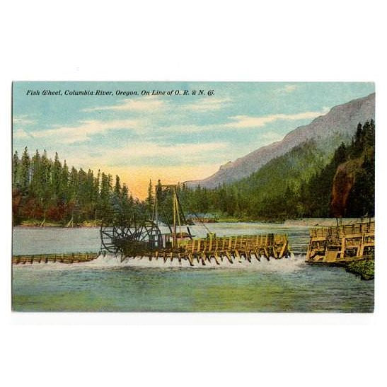 Vintage Columbia River Oregon Postcard Fish Wheel O R and N Railroad A 8457 Unused Souvenir View