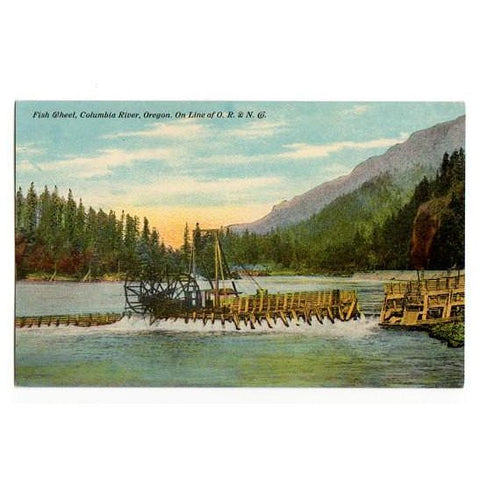 Vintage Columbia River Oregon Postcard Fish Wheel O R and N Railroad A 8457 Unused Souvenir View