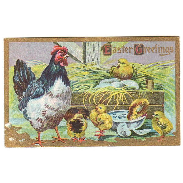 Vintage Embossed Easter Greetings Post Card Mother Hen and Baby Chicks - Avid Vintage
