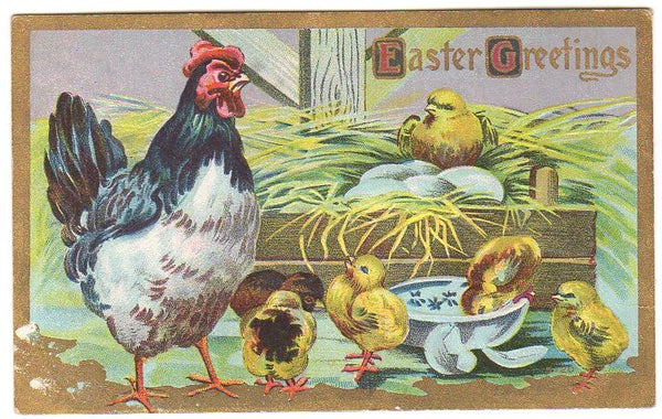 Vintage Embossed Easter Greetings Post Card Mother Hen and Baby Chicks - Avid Vintage