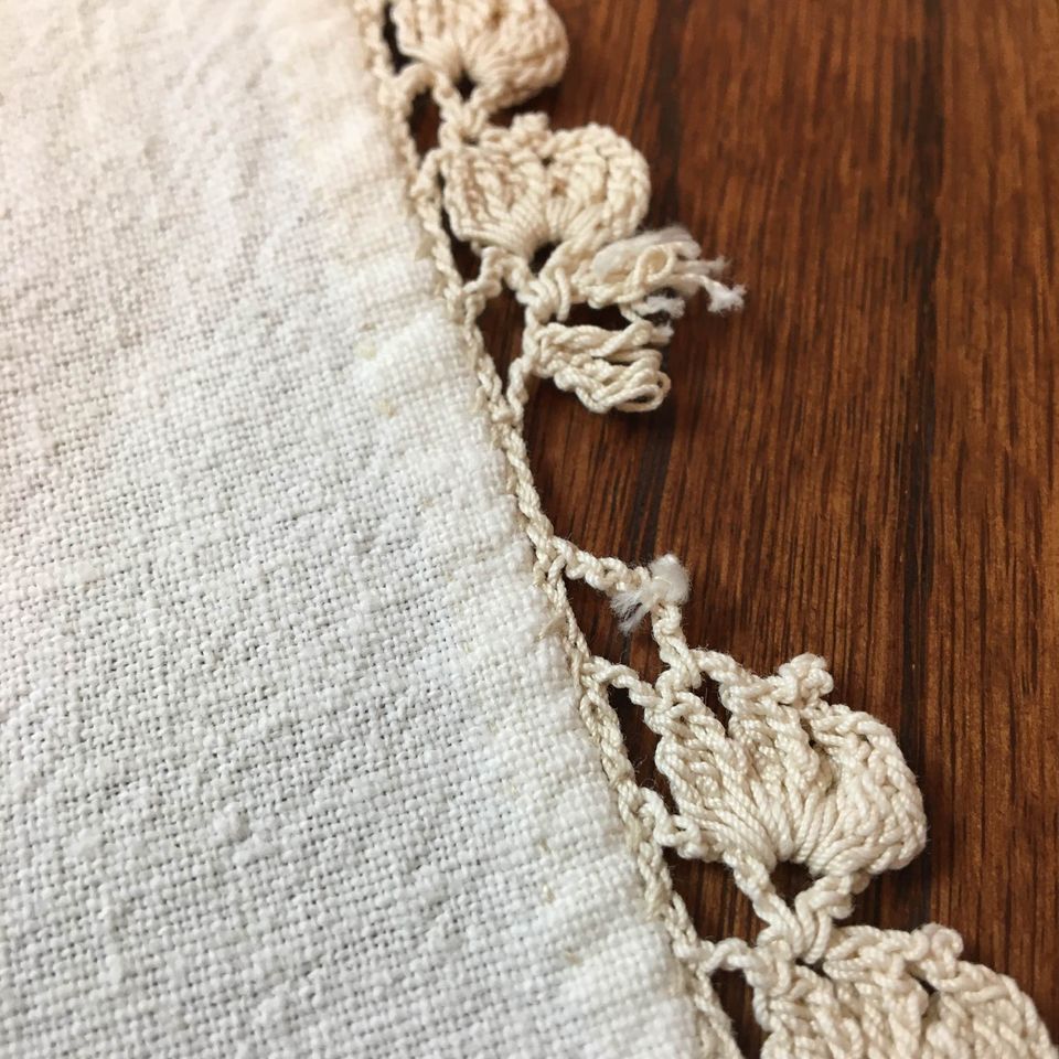 Vintage Hand Embroidered Fruit Tablecloth Crocheted Edging 60 x 47