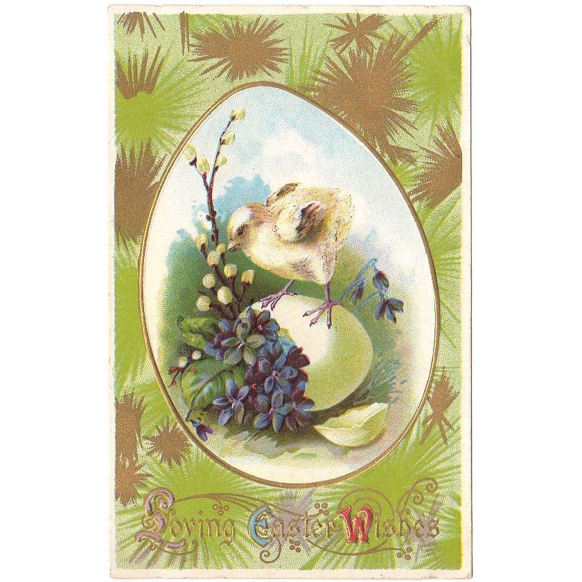 Vintage Loving Easter Wishes Embossed Postcard Baby Chick on Egg Purple Violets - Avid Vintage