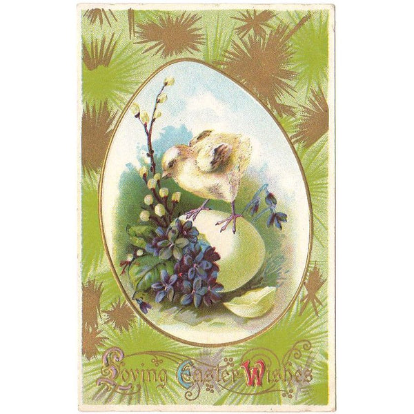 Vintage Loving Easter Wishes Embossed Postcard Baby Chick on Egg Purple Violets - Avid Vintage