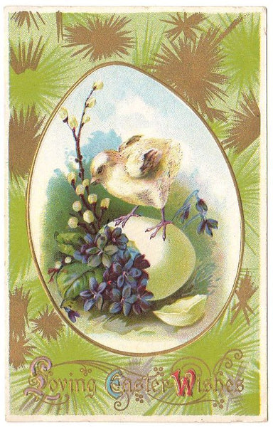 Vintage Loving Easter Wishes Embossed Postcard Baby Chick on Egg Purple Violets - Avid Vintage