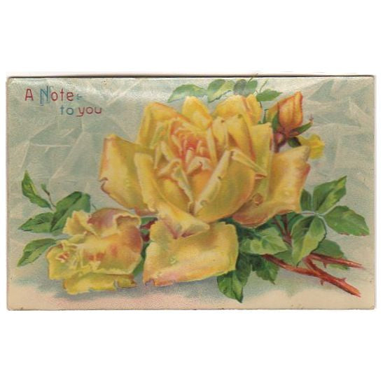 Vintage Postcard A Note to You Large Yellow Rose