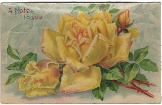 Vintage Postcard A Note to You Large Yellow Rose