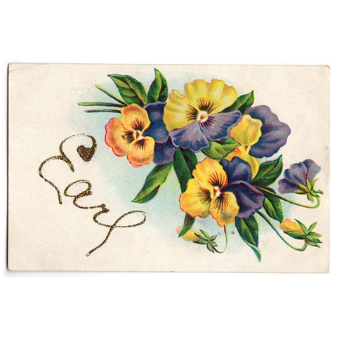 Vintage 1910s Pansy Greetings Postcard Earl Purple and Yellow Flowers - Avid Vintage