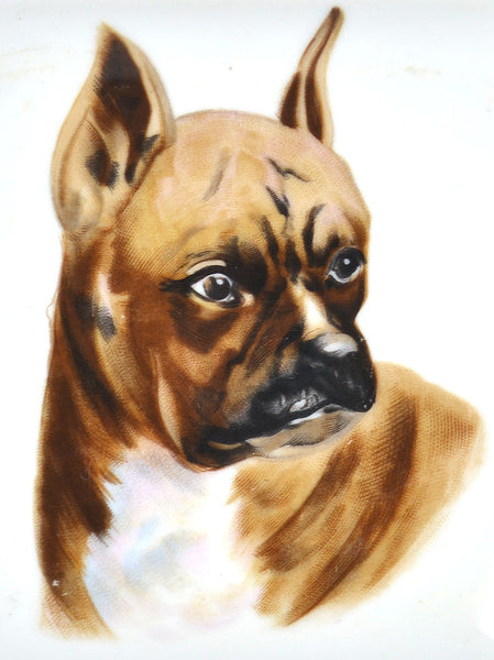 Vintage Boxer Dog Square Ashtray with Gold Trim - Avid Vintage