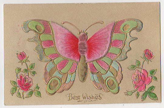 Antique Embossed Best Wishes Postcard Pink and Green Butterfly Pink Roses - Avid Vintage