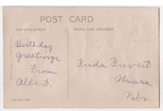 Antique Embossed Best Wishes Postcard Pink and Green Butterfly Pink Roses - Avid Vintage