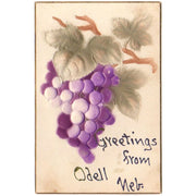 Vintage Old Embossed Postcard Greetings from Odell Nebraska Purple Grapes - Avid Vintage