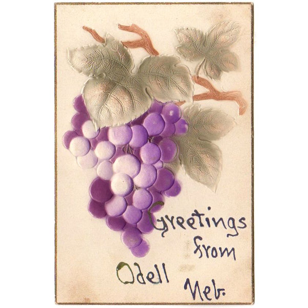 Vintage Old Embossed Postcard Greetings from Odell Nebraska Purple Grapes - Avid Vintage