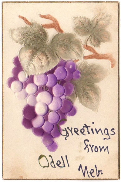 Vintage Old Embossed Postcard Greetings from Odell Nebraska Purple Grapes - Avid Vintage