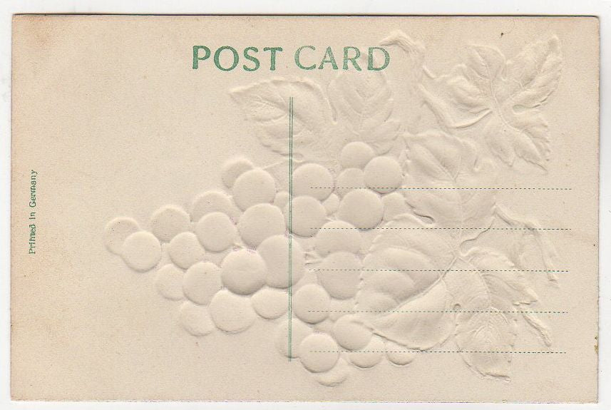Vintage Old Embossed Postcard Greetings from Odell Nebraska Purple Grapes - Avid Vintage