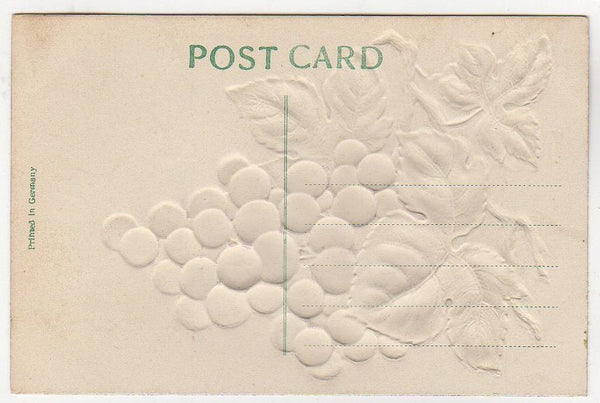 Vintage Old Embossed Postcard Greetings from Odell Nebraska Purple Grapes - Avid Vintage