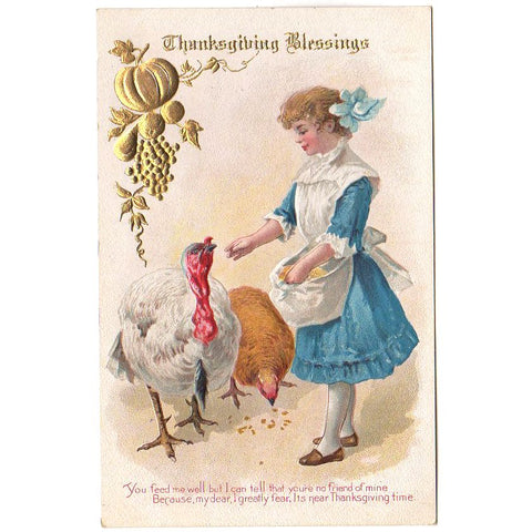 Vintage Thanksgiving Blessings Embossed Postcard Girl Feeds Turkeys Unused - Avid Vintage