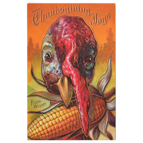 Vintage Thanksgiving Turkey Postcard Prize Winner Embossed - Avid Vintage