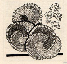 Vintage WorkBasket Magazine January 1948 Volume 13 No 4 Knitted Ladies Dutch Hat - Avid Vintage