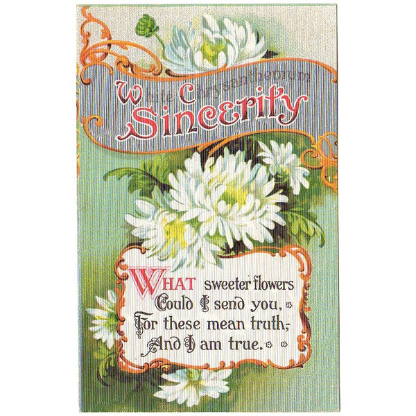 White Chrysanthemum Flowers Sincerity Vintage 1910s Postcard - Avid Vintage