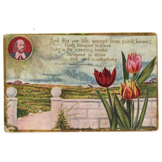 Vintage Red Tulip Postcard William Shakespeare Poem Floral C Eckstone - Avid Vintage