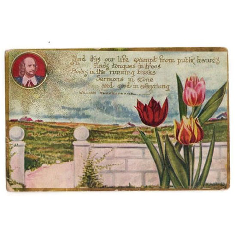 Vintage Red Tulip Postcard William Shakespeare Poem Floral C Eckstone - Avid Vintage