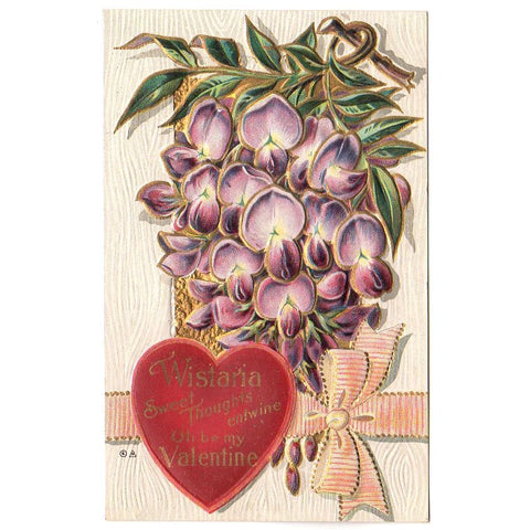 Wistaria Flowers Old Vintage Embossed Valentines Day Postcard Unused - Avid Vintage