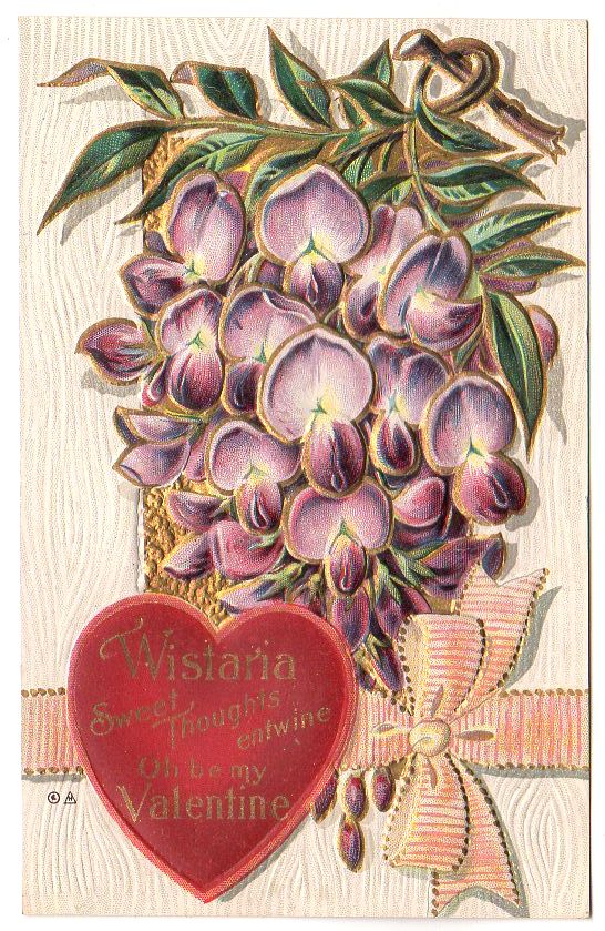 Wistaria Flowers Old Vintage Embossed Valentines Day Postcard Unused - Avid Vintage