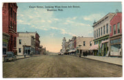 Vintage 1910s Beatrice Nebraska Postcard Court Street West Town View 1915 Postmark - Avid Vintage