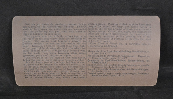 Antique Underwood Stereoview Card 1904 Worlds Fair St Louis Missouri Agriculture Building Number 25 - Avid Vintage