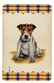 Vintage 1950s Terrier Playing Cards Lot of 3 Dog Swap Cards Plaid Border - Avid Vintage