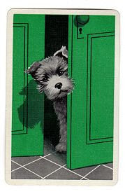 Vintage 1950s Puppy Playing Cards Lot of 3 Dog at Door Green Single Swap Cards - Avid Vintage
