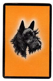 Vintage 1950s Scottie Dog Playing Cards Lot of 3 Black Scottish Terrier Orange Background - Avid Vintage