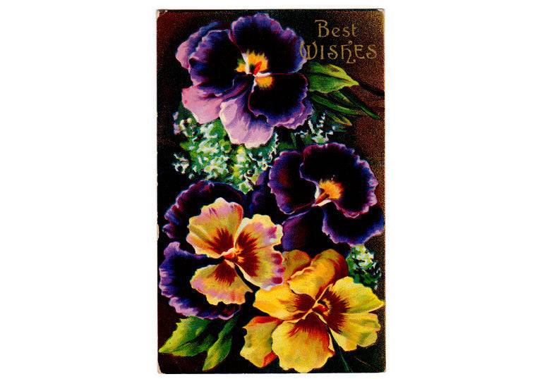 Vintage 1910s Pansy Greetings Postcard Best Wishes Purple and Yellow Flowers - Avid Vintage