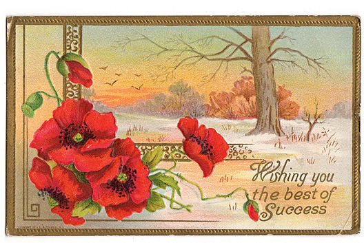 Vintage 1910s Red Poppy Postcard Best Success Embossed Winter Scene - Avid Vintage