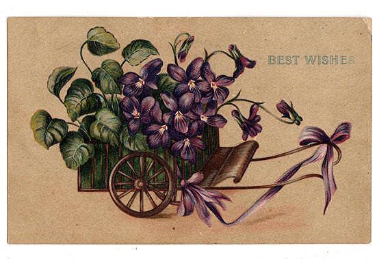 Vintage 1910s Best Wishes Postcard, Purple Violets, Floral Embossed, Helvey Nebraska Postmark - Avid Vintage