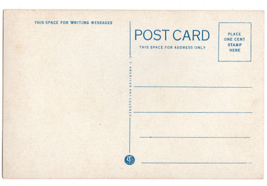 Vintage 1920s Grand Island Nebraska Postcard Locust Street Looking South Downtown - Avid Vintage