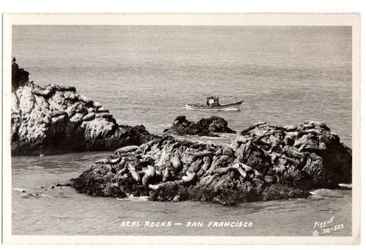 Vintage 1930s Real Photo Postcard Seal Rocks San Francisco California Piggott - Avid Vintage