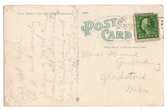 Vintage 1910s North Platte Nebraska Color Postcard, St. Patricks School Town View PC - Avid Vintage