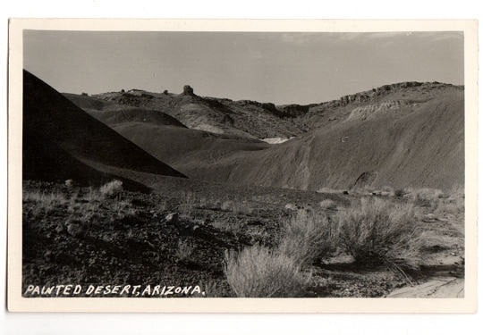 Vintage 1940s Real Photo Post Card Painted Desert Arizona Souvenir Unused EKC - Avid Vintage