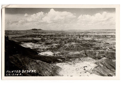 Vintage Real Photo Postcard Painted Desert Arizona Vintage 1940s Souvenir Postcard Unused - Avid Vintage