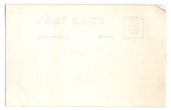 Vintage Real Photo Postcard Painted Desert Arizona Vintage 1940s Souvenir Postcard Unused - Avid Vintage