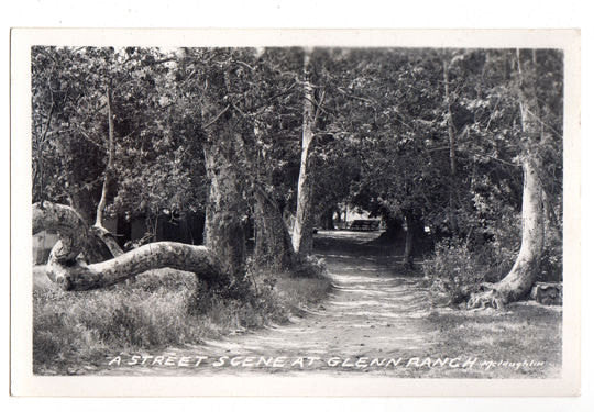 Vintage 1930s Glenn Ranch Resort California RPPC McLaughlin Real Photo Postcard - Avid Vintage