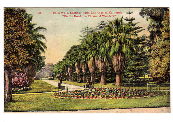 Vintage 1910s Postcard Palm Walk Eastlake Park (Now Lincoln Park) Los Angeles California - Avid Vintage