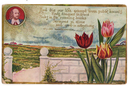 Vintage Red Tulip Postcard William Shakespeare Poem Floral C Eckstone - Avid Vintage