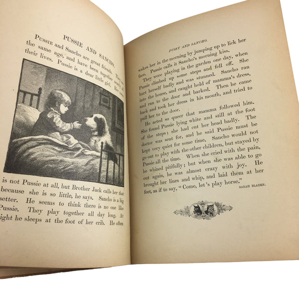 Antique Children's Book Crossing The Brook 1885 Dunham Hardcover