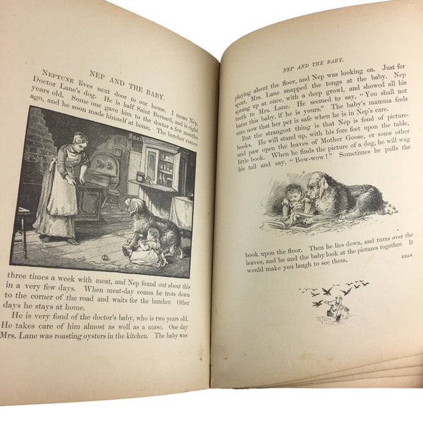 Antique Children's Book Crossing The Brook 1885 Dunham Hardcover