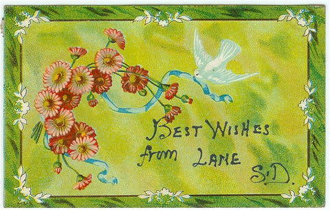 Vintage 1910s Lane South Dakota Floral Greeting Postcard White Dove Best Wishes - Avid Vintage
