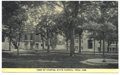 Vintage Peru Nebraska Postcard College Campus 1910s Black and White No. 44829 - Avid Vintage